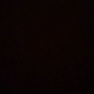 Meet your Posher, Molly